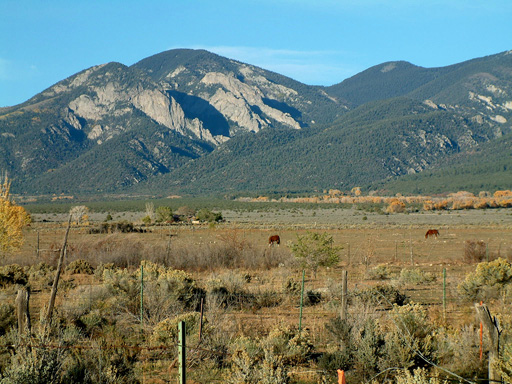 Field in Taos